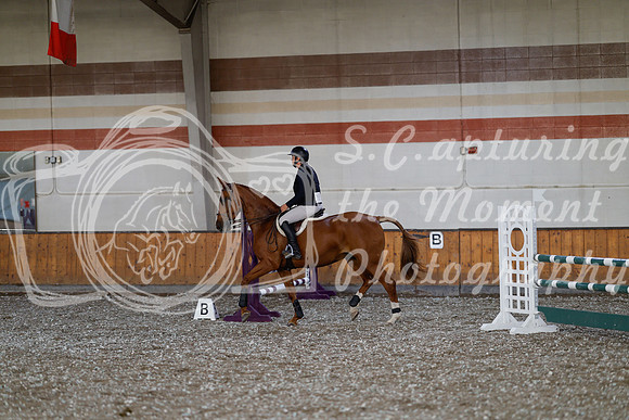 2025 - Haylee - Harvest Horse Show - Thursday, September 11th 02563