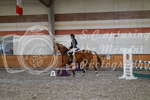 2025 - Haylee - Harvest Horse Show - Thursday, September 11th 02565