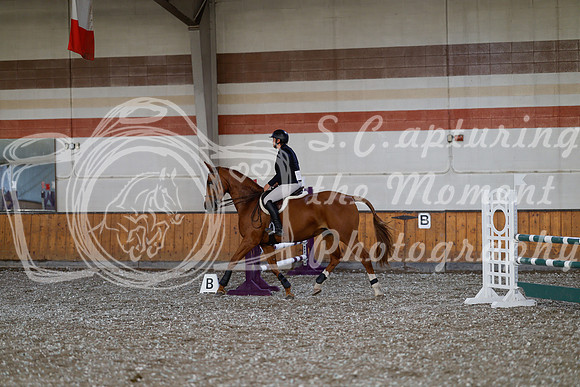 2025 - Haylee - Harvest Horse Show - Thursday, September 11th 02566
