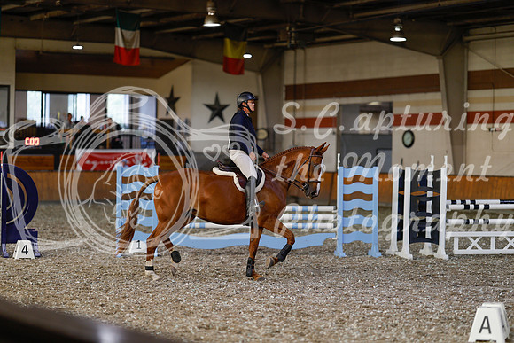 2025 - Haylee - Harvest Horse Show - Thursday, September 11th 02567