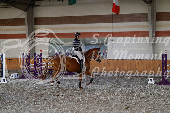 2025 - Haylee - Harvest Horse Show - Thursday, September 11th 02571