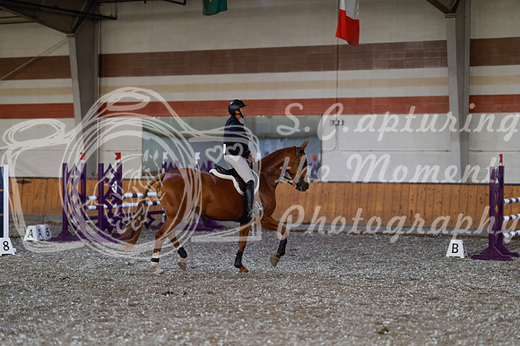 2025 - Haylee - Harvest Horse Show - Thursday, September 11th 02572