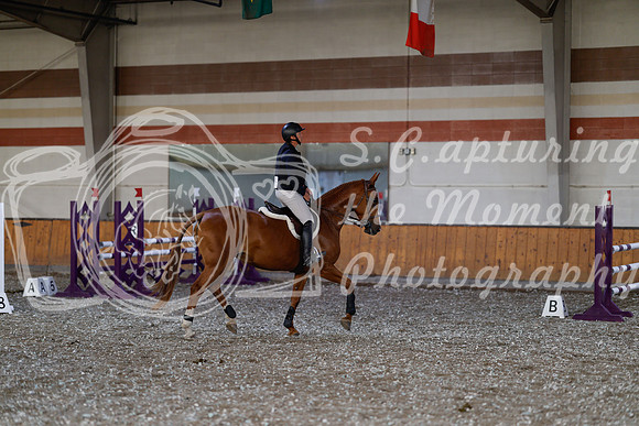 2025 - Haylee - Harvest Horse Show - Thursday, September 11th 02573