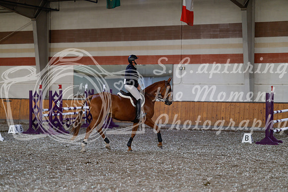 2025 - Haylee - Harvest Horse Show - Thursday, September 11th 02574