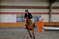 2025 - Haylee - Harvest Horse Show - Thursday, September 11th 02576