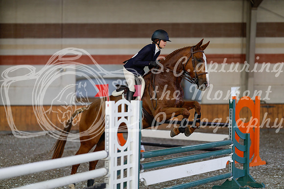 2025 - Haylee - Harvest Horse Show - Thursday, September 11th 03001
