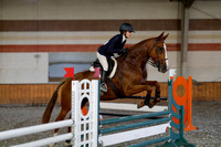 2025 - Haylee - Harvest Horse Show - Thursday, September 11th 03003