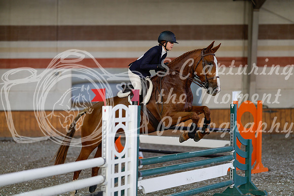 2025 - Haylee - Harvest Horse Show - Thursday, September 11th 03002