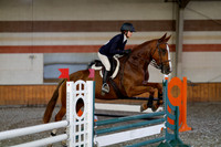 2025 - Haylee - Harvest Horse Show - Thursday, September 11th 03004