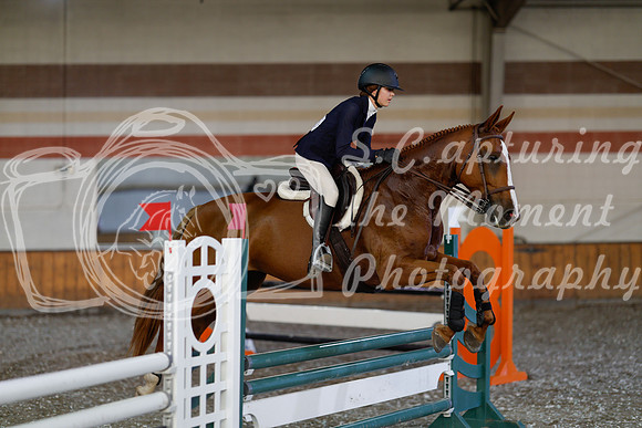 2025 - Haylee - Harvest Horse Show - Thursday, September 11th 03006