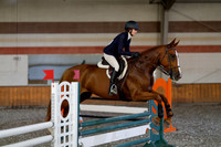 2025 - Haylee - Harvest Horse Show - Thursday, September 11th 03007