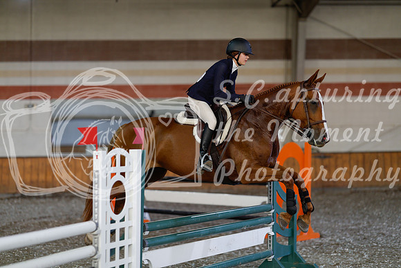 2025 - Haylee - Harvest Horse Show - Thursday, September 11th 03007
