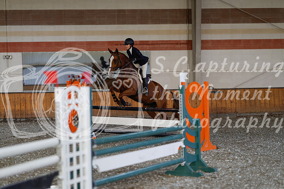2025 - Haylee - Harvest Horse Show - Thursday, September 11th 03008