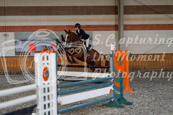2025 - Haylee - Harvest Horse Show - Thursday, September 11th 03009