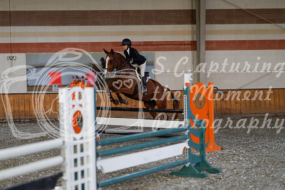 2025 - Haylee - Harvest Horse Show - Thursday, September 11th 03010