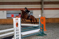 2025 - Haylee - Harvest Horse Show - Thursday, September 11th 03012