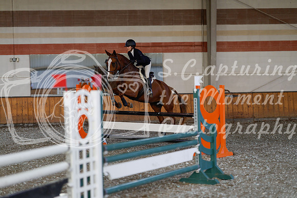 2025 - Haylee - Harvest Horse Show - Thursday, September 11th 03011