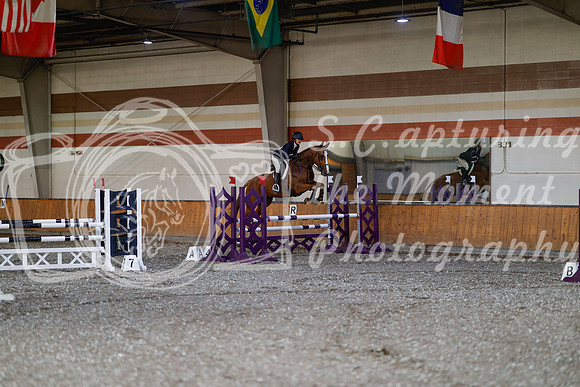 2025 - Haylee - Harvest Horse Show - Thursday, September 11th 03014