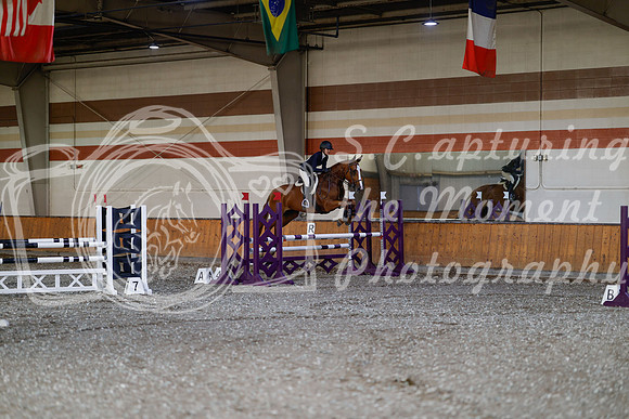2025 - Haylee - Harvest Horse Show - Thursday, September 11th 03016