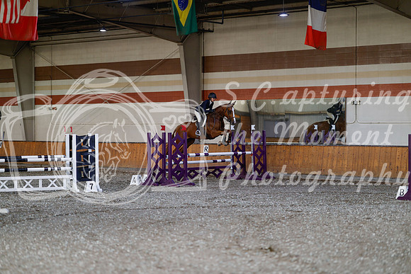 2025 - Haylee - Harvest Horse Show - Thursday, September 11th 03015