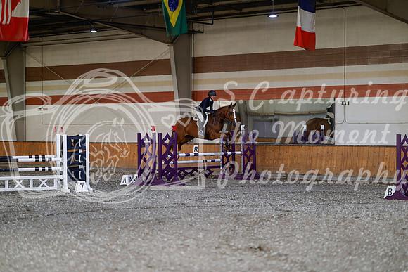 2025 - Haylee - Harvest Horse Show - Thursday, September 11th 03018