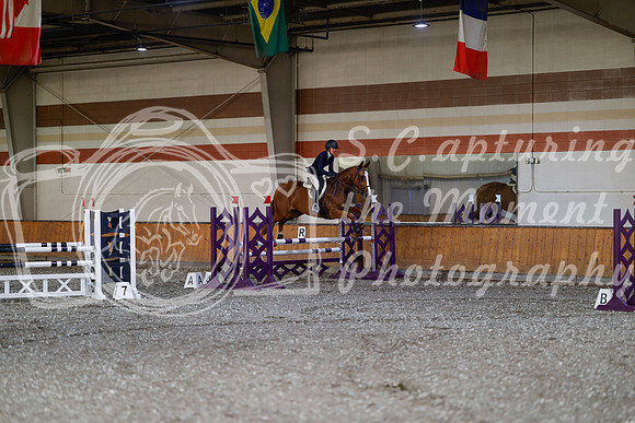 2025 - Haylee - Harvest Horse Show - Thursday, September 11th 03019