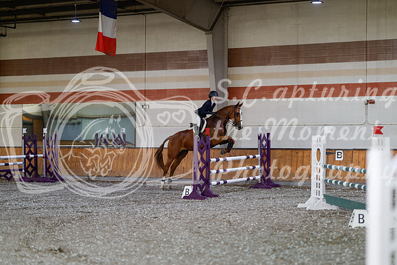 2025 - Haylee - Harvest Horse Show - Thursday, September 11th 03021