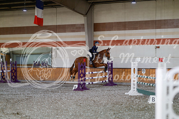 2025 - Haylee - Harvest Horse Show - Thursday, September 11th 03025
