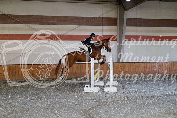 2025 - Haylee - Harvest Horse Show - Thursday, September 11th 03029