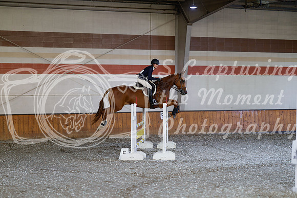 2025 - Haylee - Harvest Horse Show - Thursday, September 11th 03033