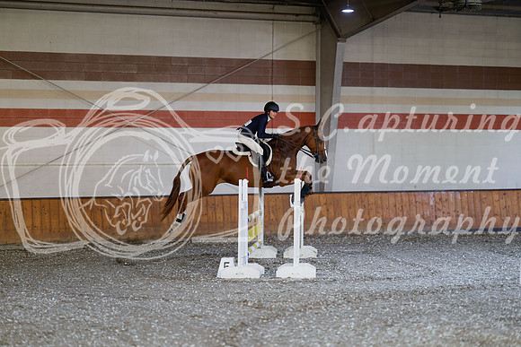 2025 - Haylee - Harvest Horse Show - Thursday, September 11th 03032