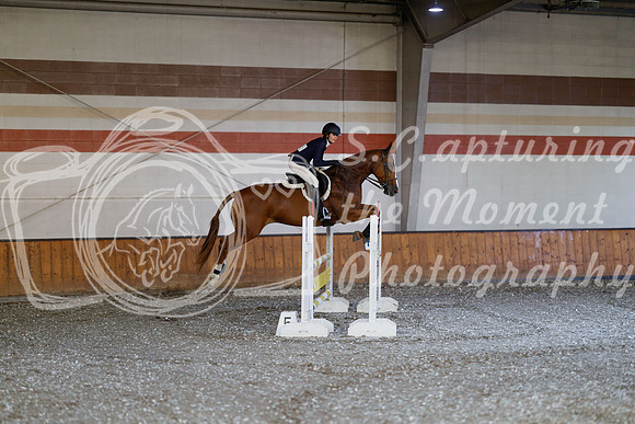 2025 - Haylee - Harvest Horse Show - Thursday, September 11th 03031