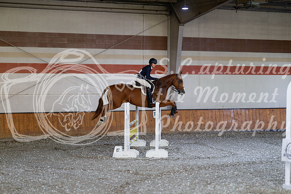 2025 - Haylee - Harvest Horse Show - Thursday, September 11th 03034