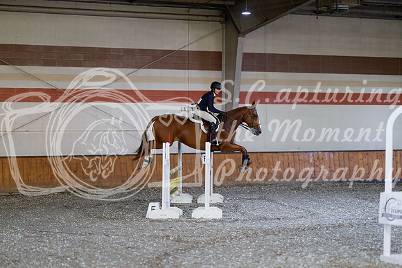 2025 - Haylee - Harvest Horse Show - Thursday, September 11th 03036