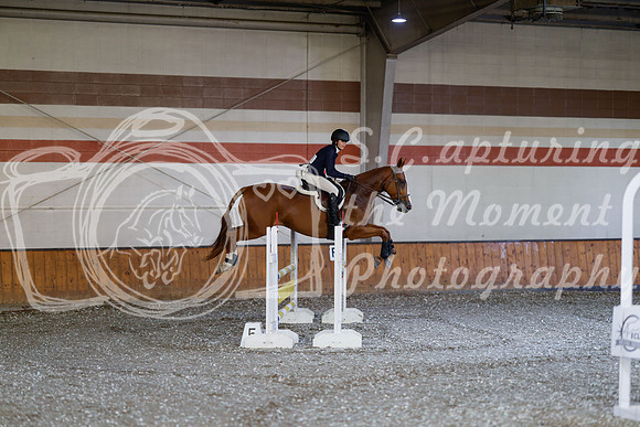 2025 - Haylee - Harvest Horse Show - Thursday, September 11th 03035