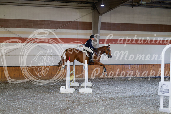 2025 - Haylee - Harvest Horse Show - Thursday, September 11th 03037