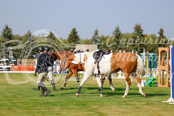 2025 - Haylee - Harvest Horse Show - Thursday, September 11th 00908