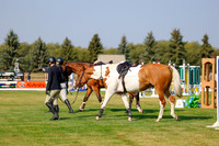 2025 - Haylee - Harvest Horse Show - Thursday, September 11th 00910