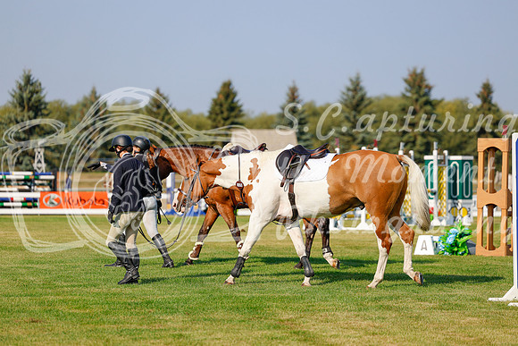 2025 - Haylee - Harvest Horse Show - Thursday, September 11th 00910