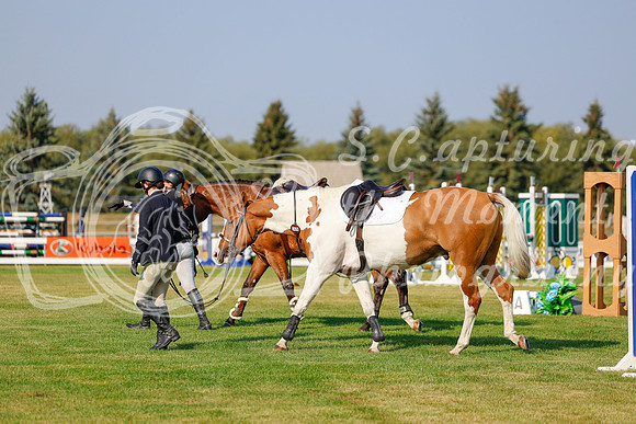 2025 - Haylee - Harvest Horse Show - Thursday, September 11th 00909