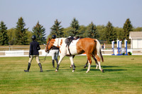 2025 - Haylee - Harvest Horse Show - Thursday, September 11th 00911