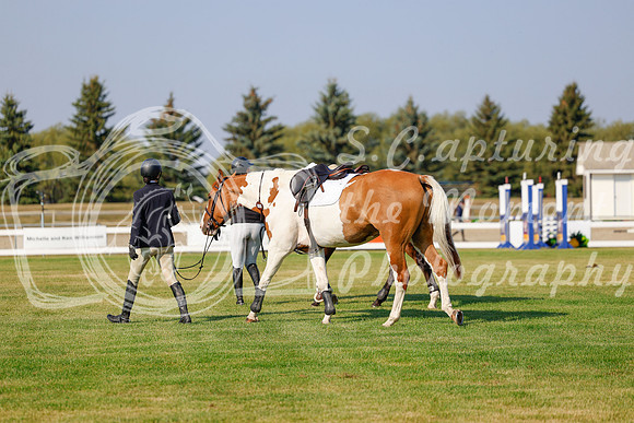 2025 - Haylee - Harvest Horse Show - Thursday, September 11th 00911