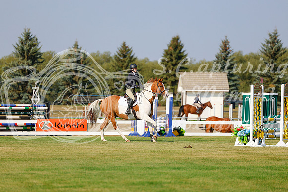 2025 - Haylee - Harvest Horse Show - Thursday, September 11th 00912