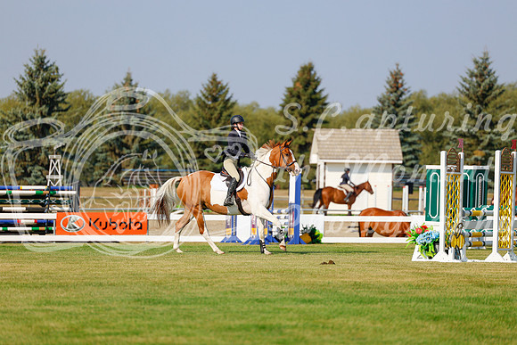 2025 - Haylee - Harvest Horse Show - Thursday, September 11th 00913
