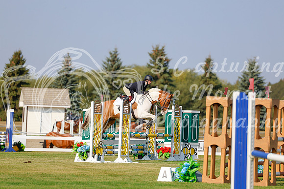 2025 - Haylee - Harvest Horse Show - Thursday, September 11th 00915