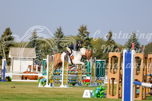 2025 - Haylee - Harvest Horse Show - Thursday, September 11th 00916