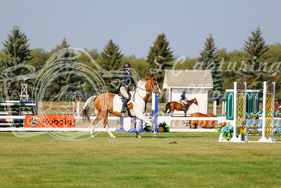 2025 - Haylee - Harvest Horse Show - Thursday, September 11th 00914