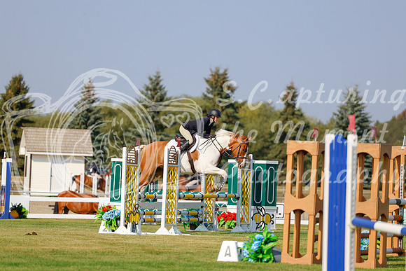 2025 - Haylee - Harvest Horse Show - Thursday, September 11th 00917