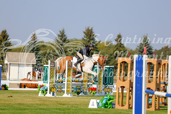 2025 - Haylee - Harvest Horse Show - Thursday, September 11th 00919