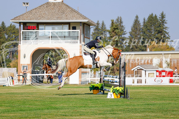 2025 - Haylee - Harvest Horse Show - Thursday, September 11th 00920